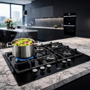 AEG cooker repair in Forest Town