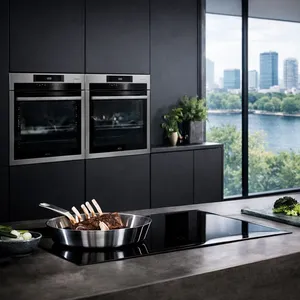 AEG oven repair in Forest Town