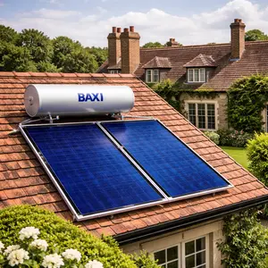 Baxi solar panel repair in Berry Hill and Lindhurst
