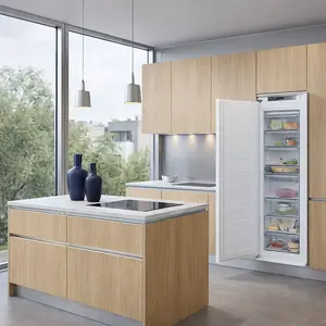 Franke freezer repair in Forest Town