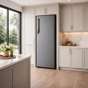 Panasonic freezer repair in Forest Town