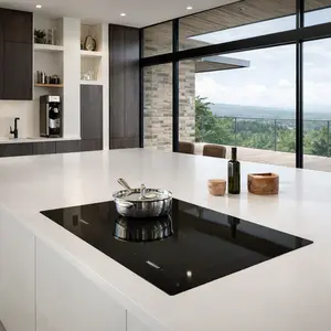 Subzero Wolf appliance repair in Pleasley Hill and North Mansfield
